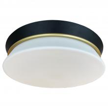 Vinci Lighting Inc. FM8039SB/BK - Flush Mount