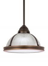 Generation Lighting 65060EN3-715 - One Light Pendant