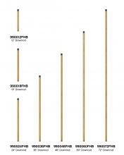 Hinkley Canada 990012FHB - 12" Downrod