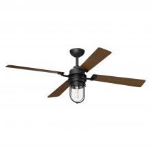 Ceiling Fans