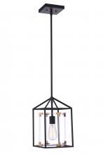 Craftmade P985FBSB1 - 1 Light Pendant
